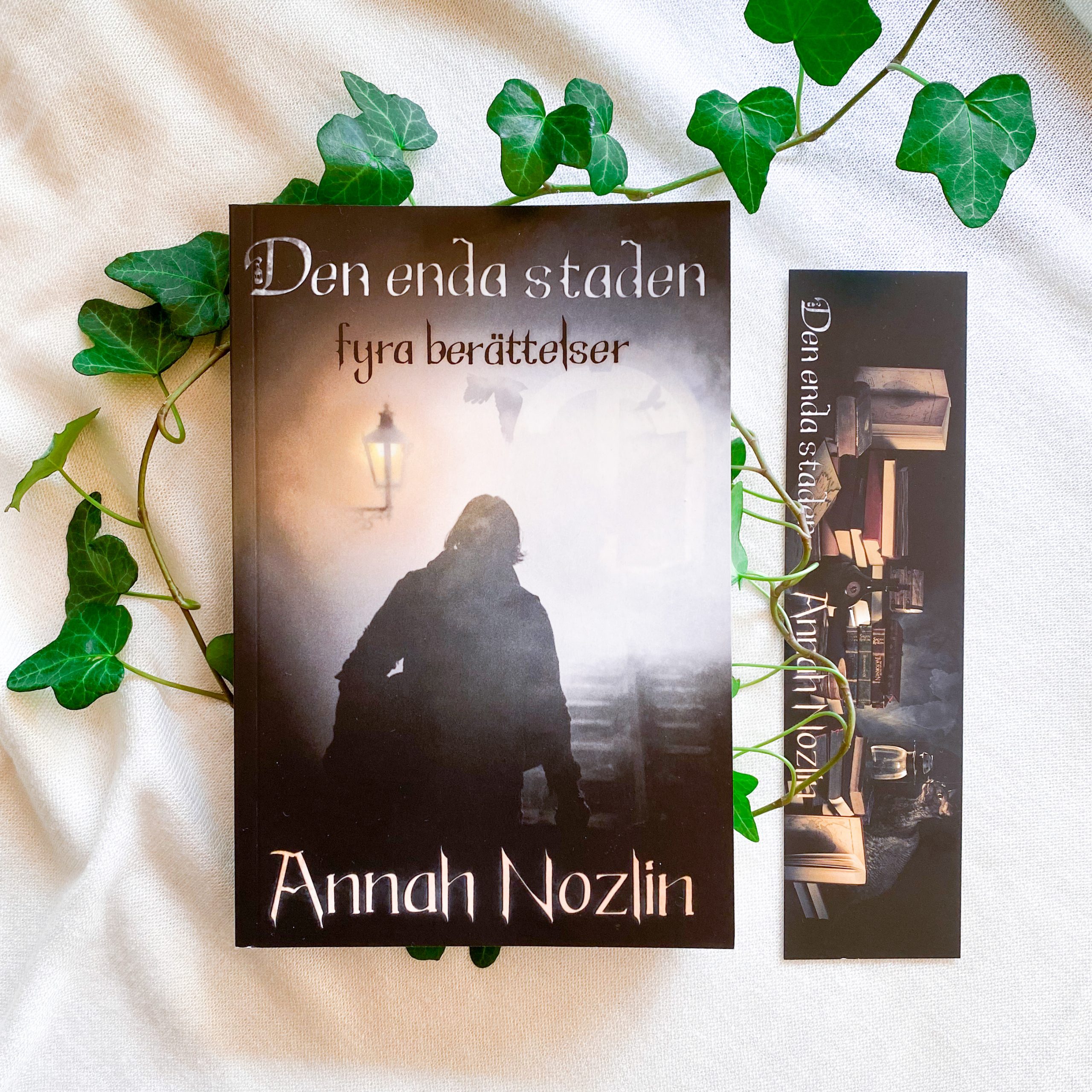 den enda staden omslag