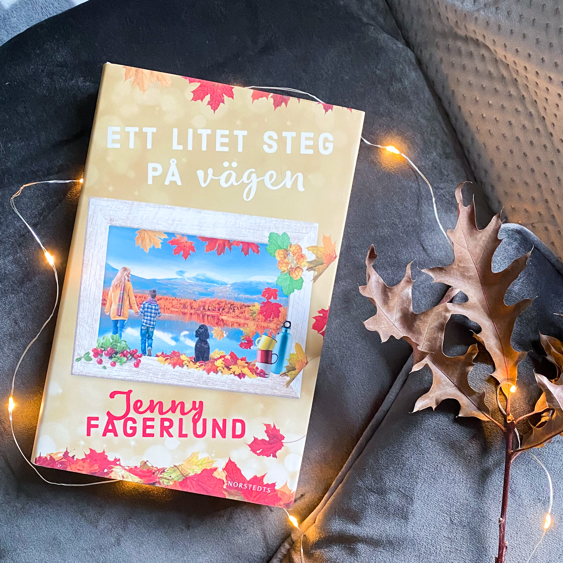 ett litet steg på vägen omslag