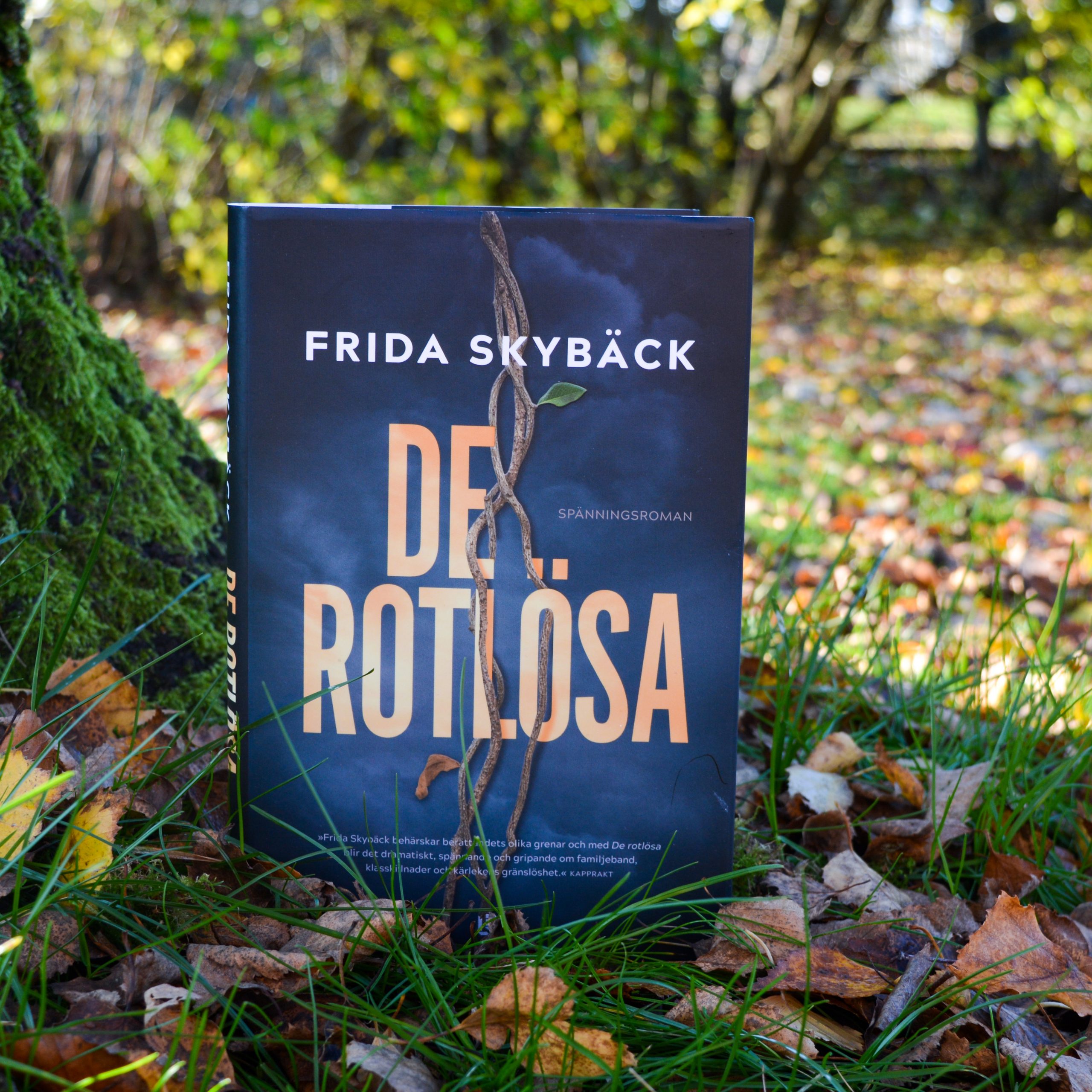 de rotlösa bokomslag