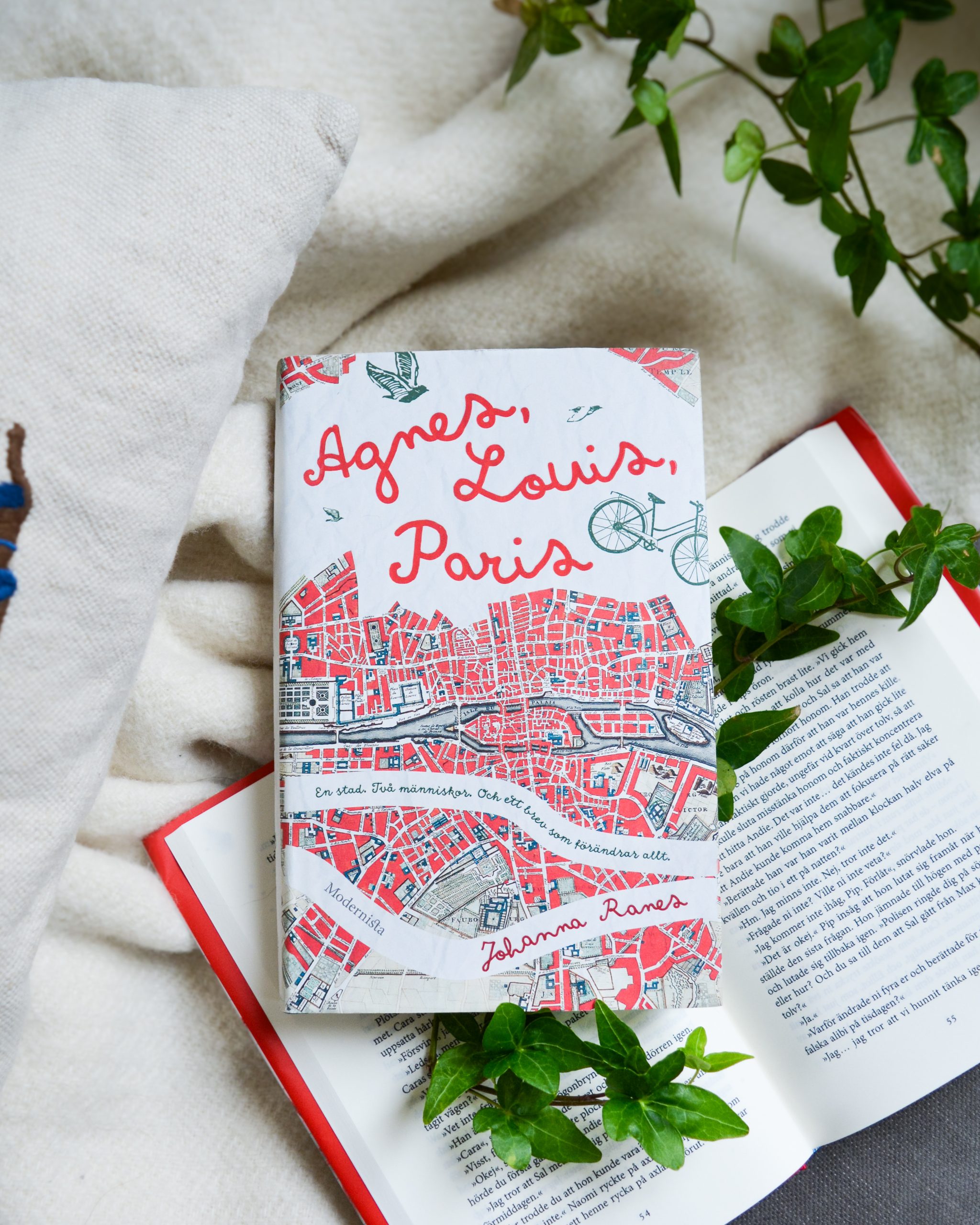 Agnes, Louis, Paris Bokomslag