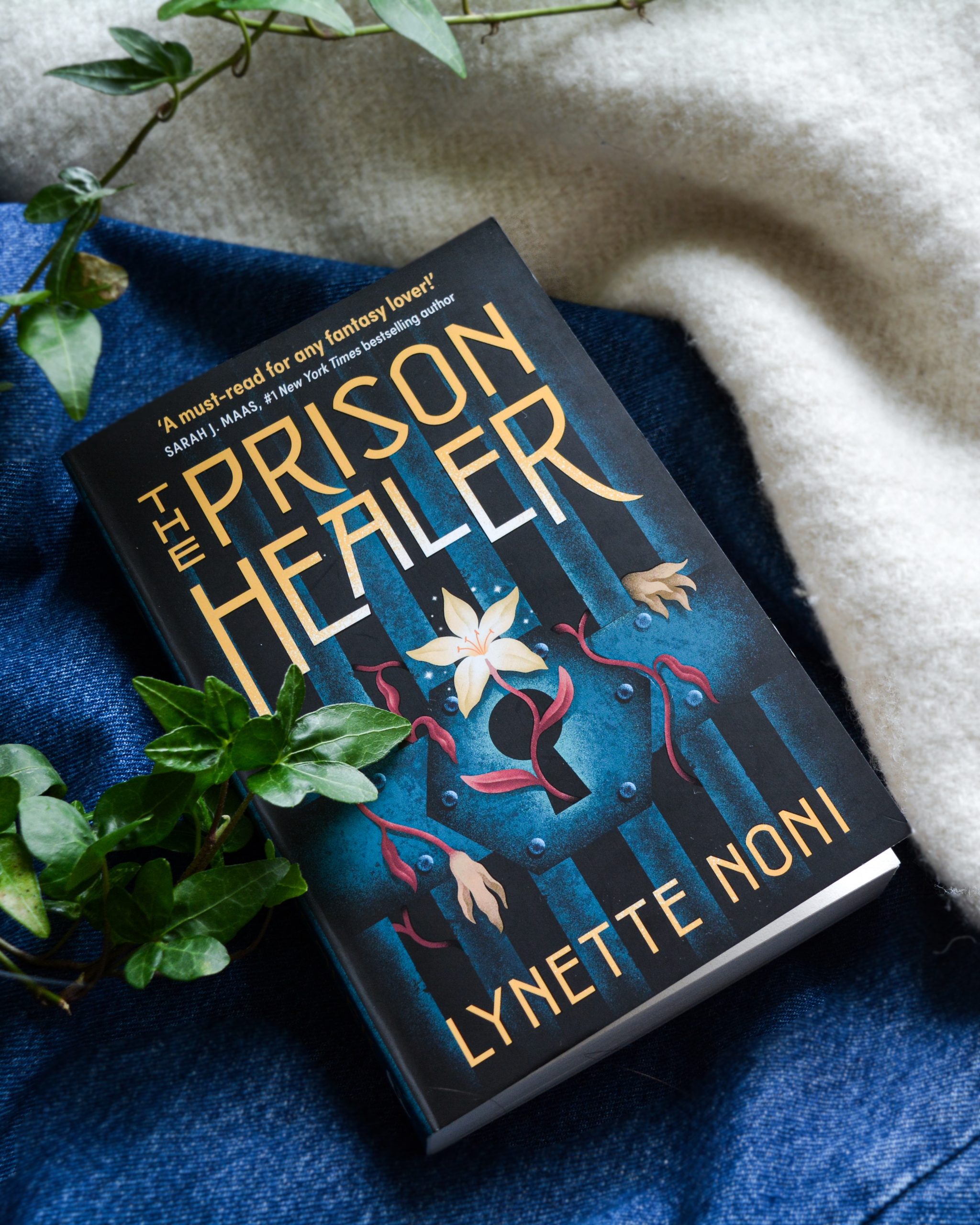 The Prison Healer Book cover bokomslag